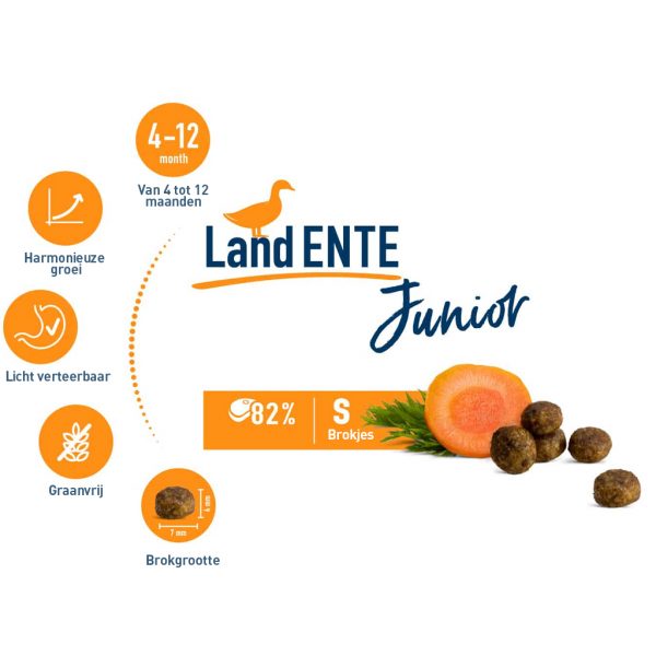 Junior land Ente (Eend) - Afbeelding 2