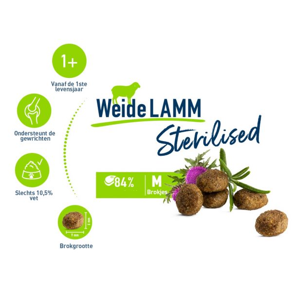 Infographic sterilised weide lam