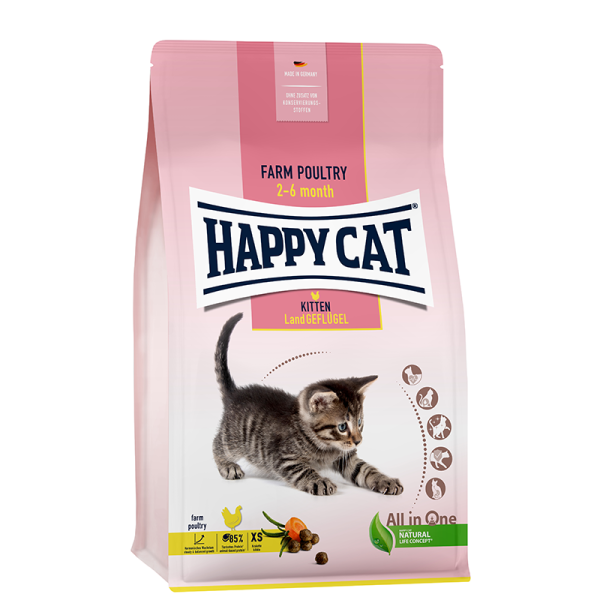 Kitten Land Geflügel (gevogelte)