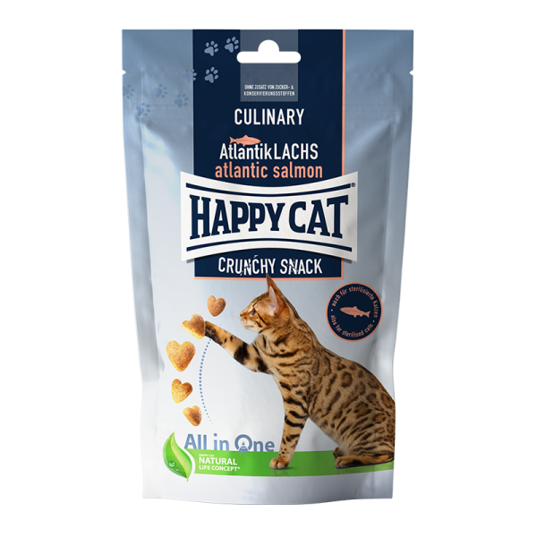 Culinary Crunchy snack Zalm - THTG